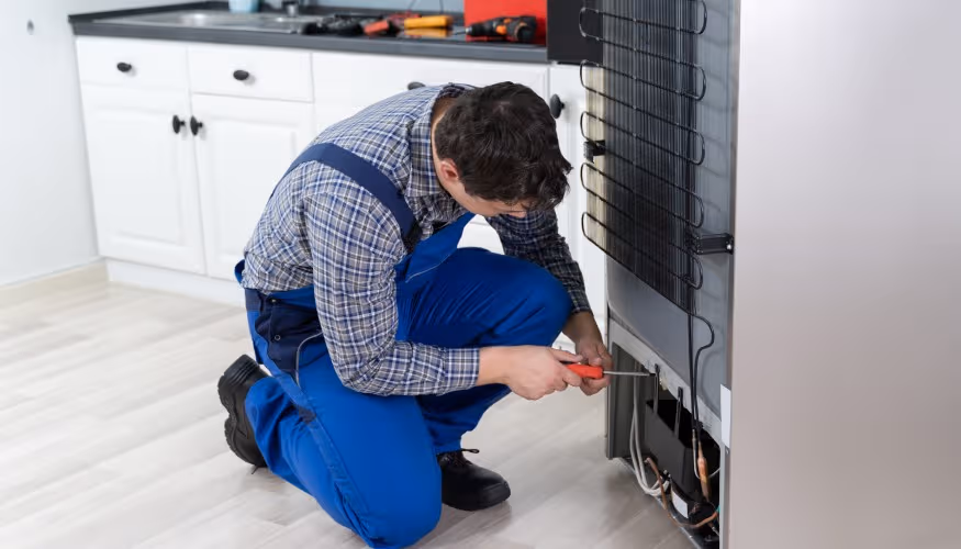 Bağcılar Indesit Buzdolabı Servisi